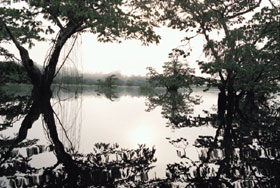 雨期のアマゾン河源流、エクアドル、1996年