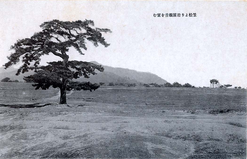 高師原・天伯原陸軍演習場 豊橋市美術博物館